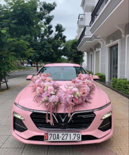 Vehicle Decoration Roorkee